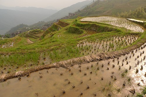 Chinafoto - Copyright: Roland Reinke