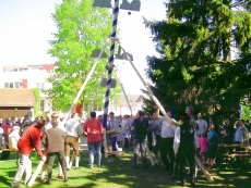 Maibaum aufrichten 2